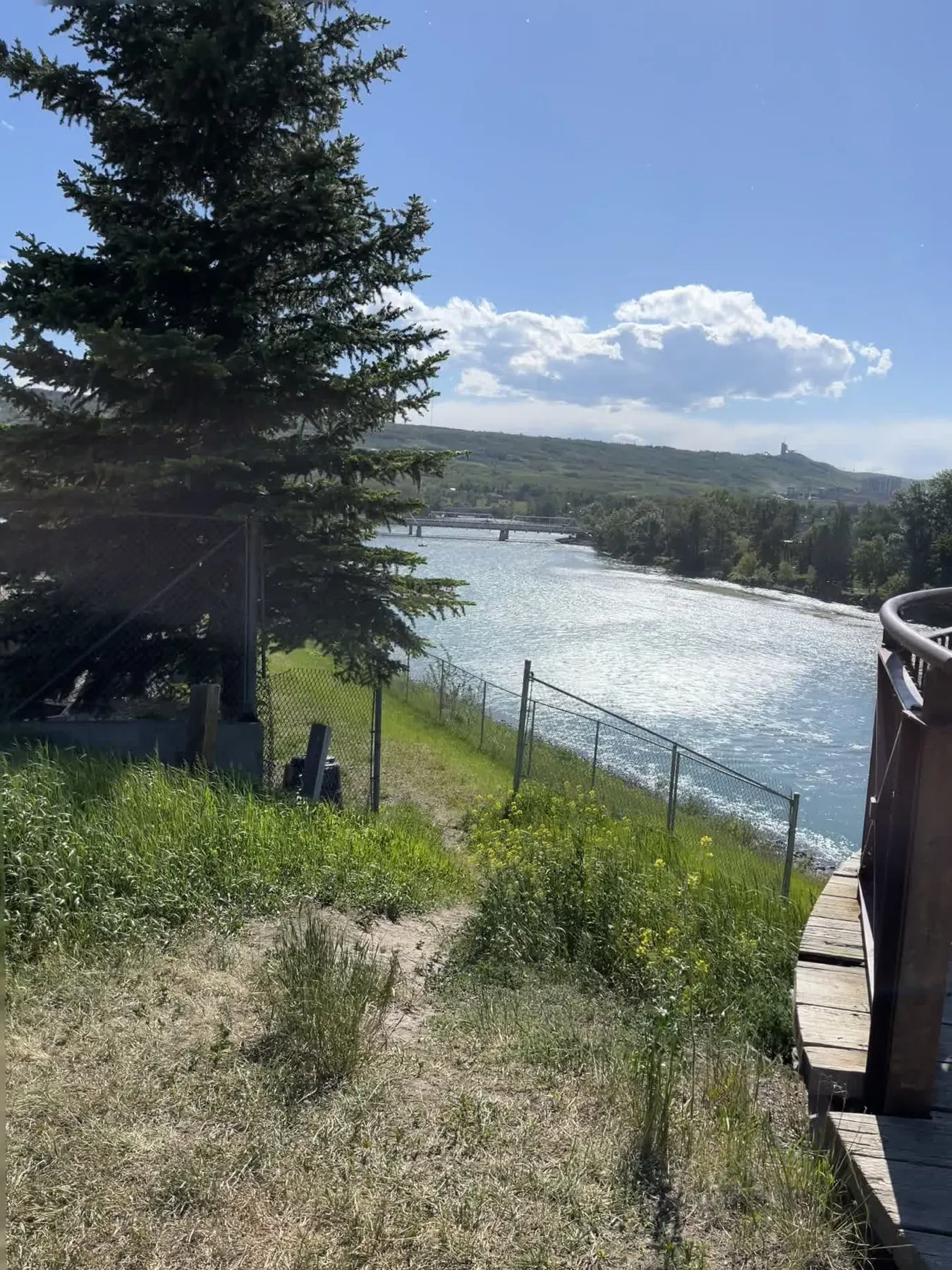 Bowmont Park View Point