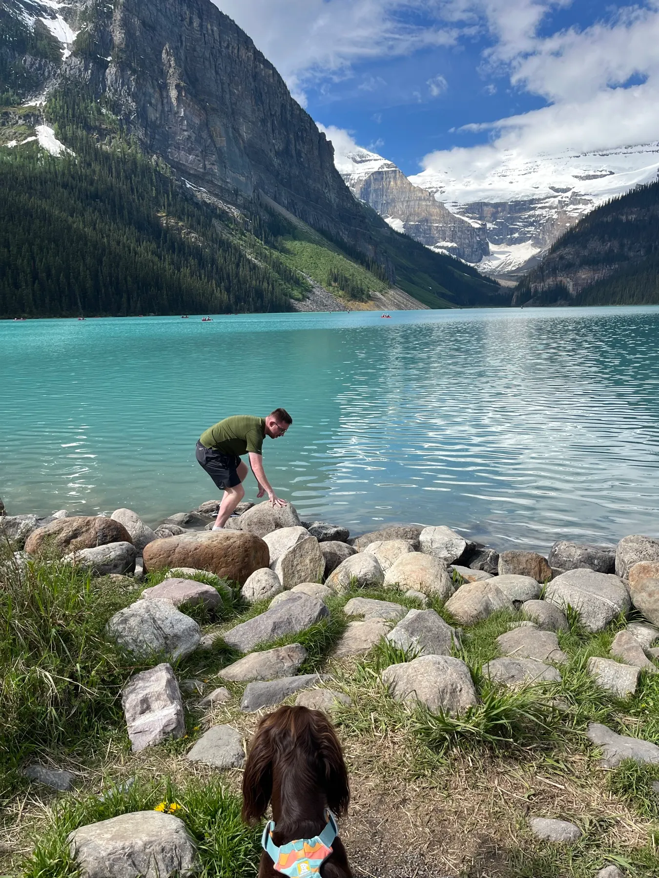 Tilly watching my brother beside Lake Louise