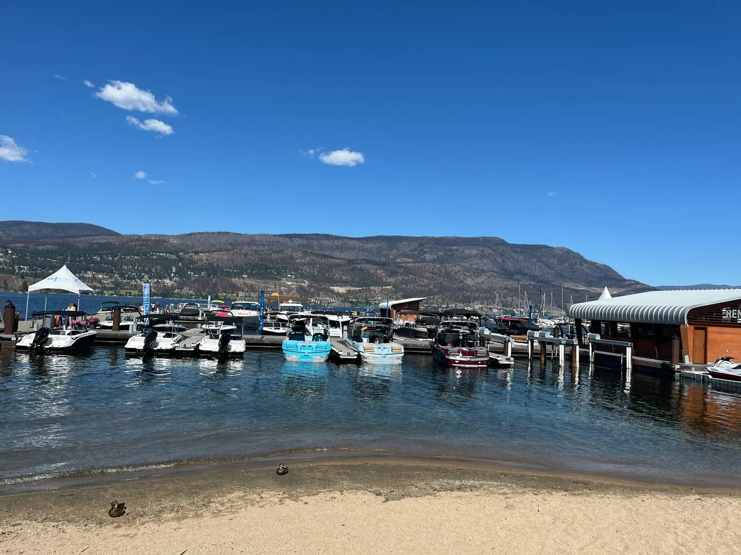 Boats and mountains at Kelowna's waterfront marina