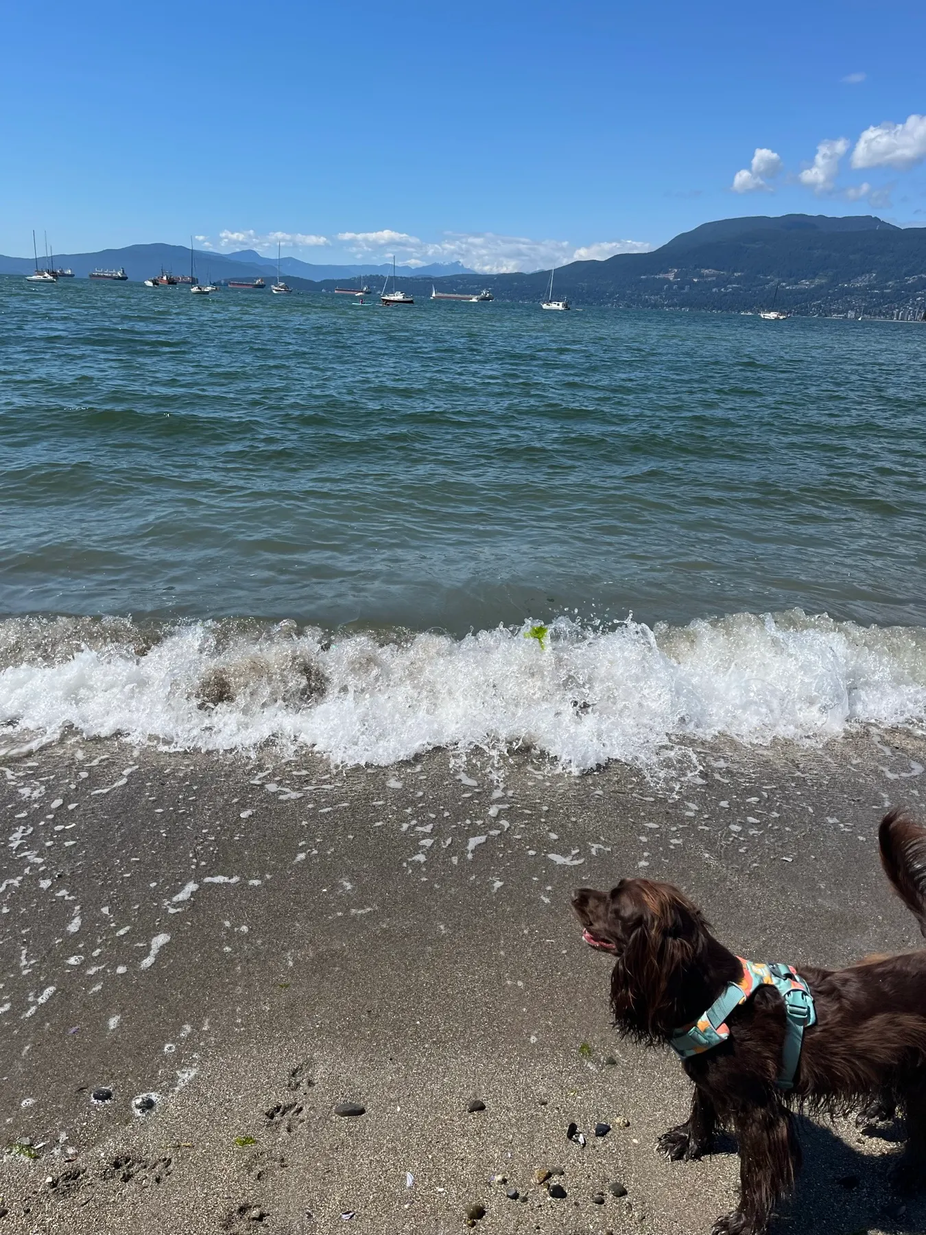Vancouver, British Columbia