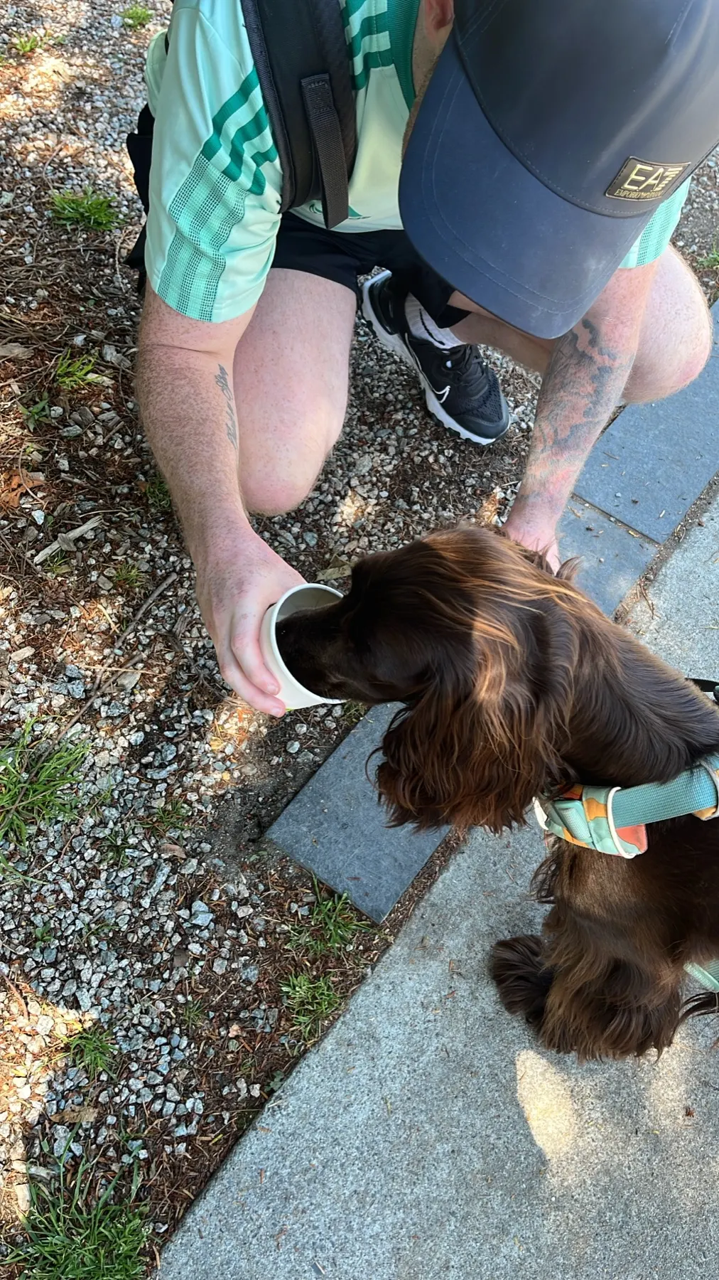 Tilly eating ice cream from a cup at Prospect Point