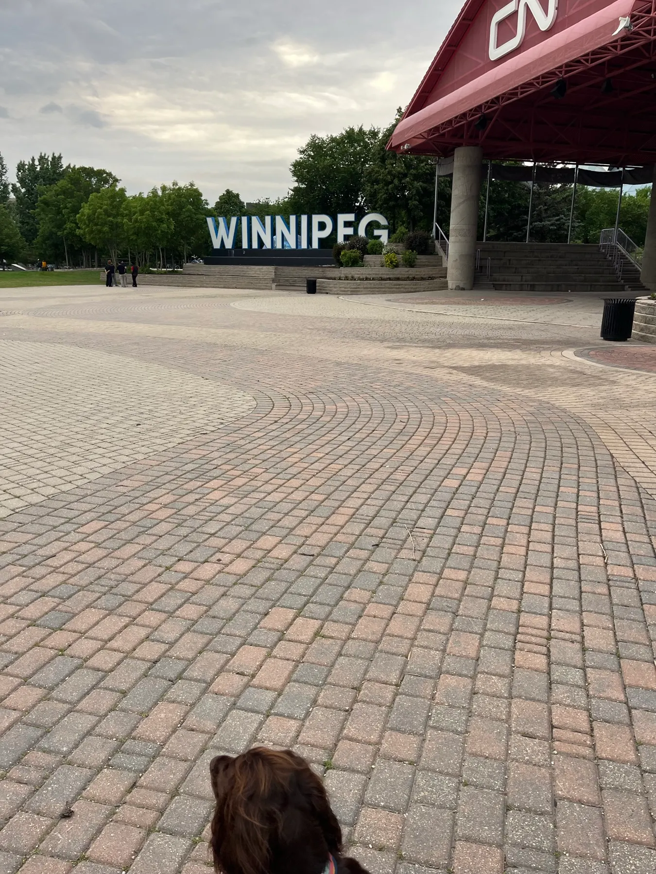The Forks
