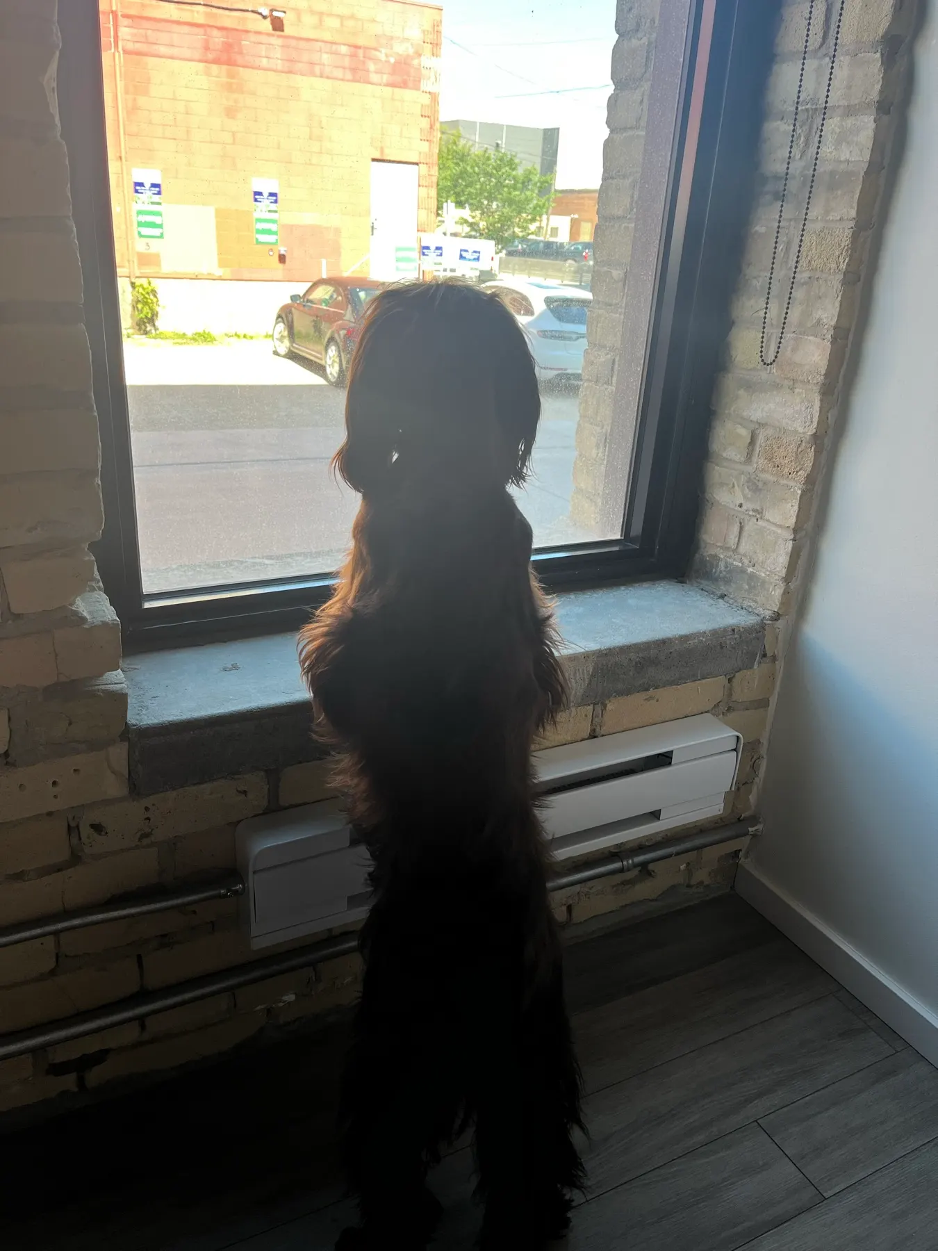Exchange District Airbnb