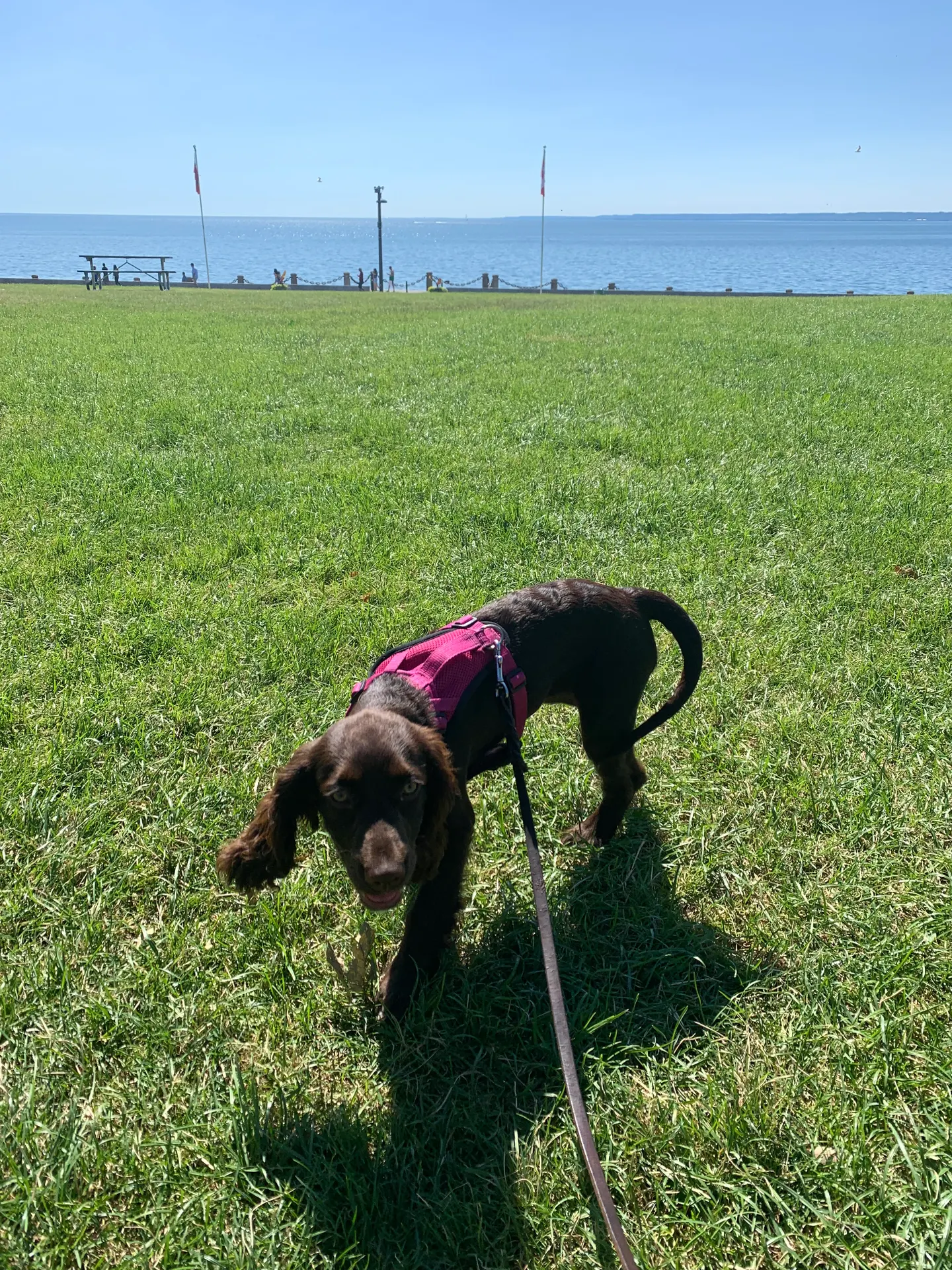 Spencer Smith Park