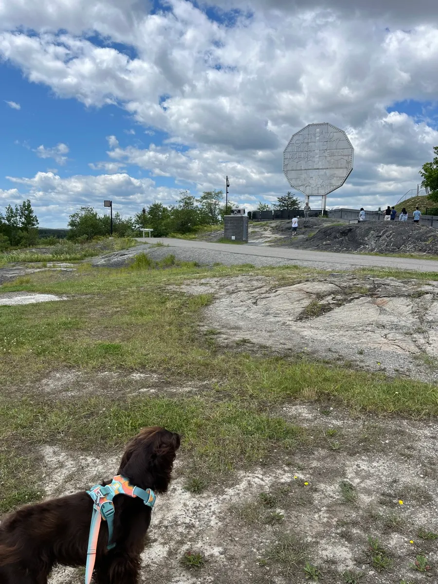 Tilly approaching the Big Nickel in Sudbury