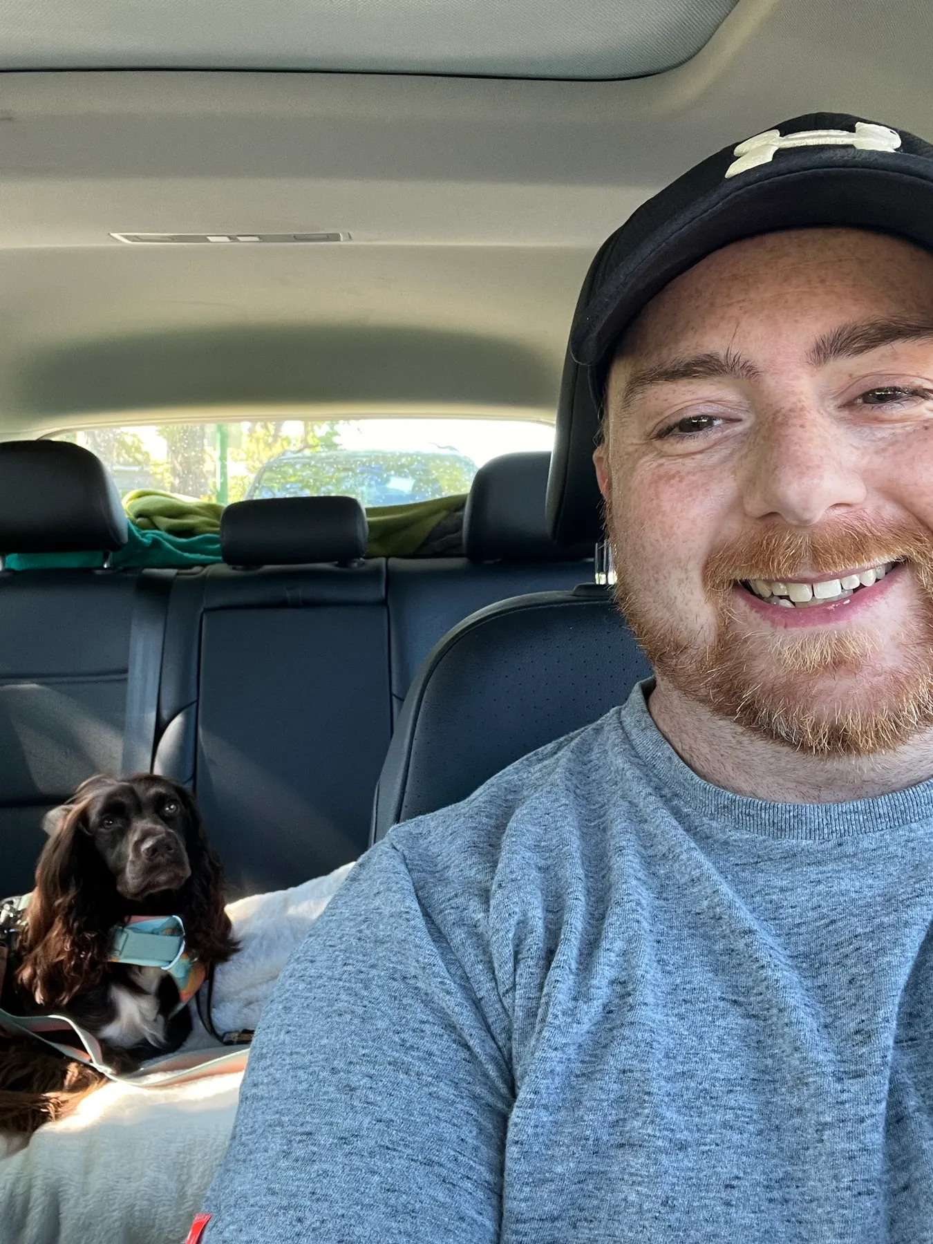 Tilly settled into the back seat before the drive from Regina