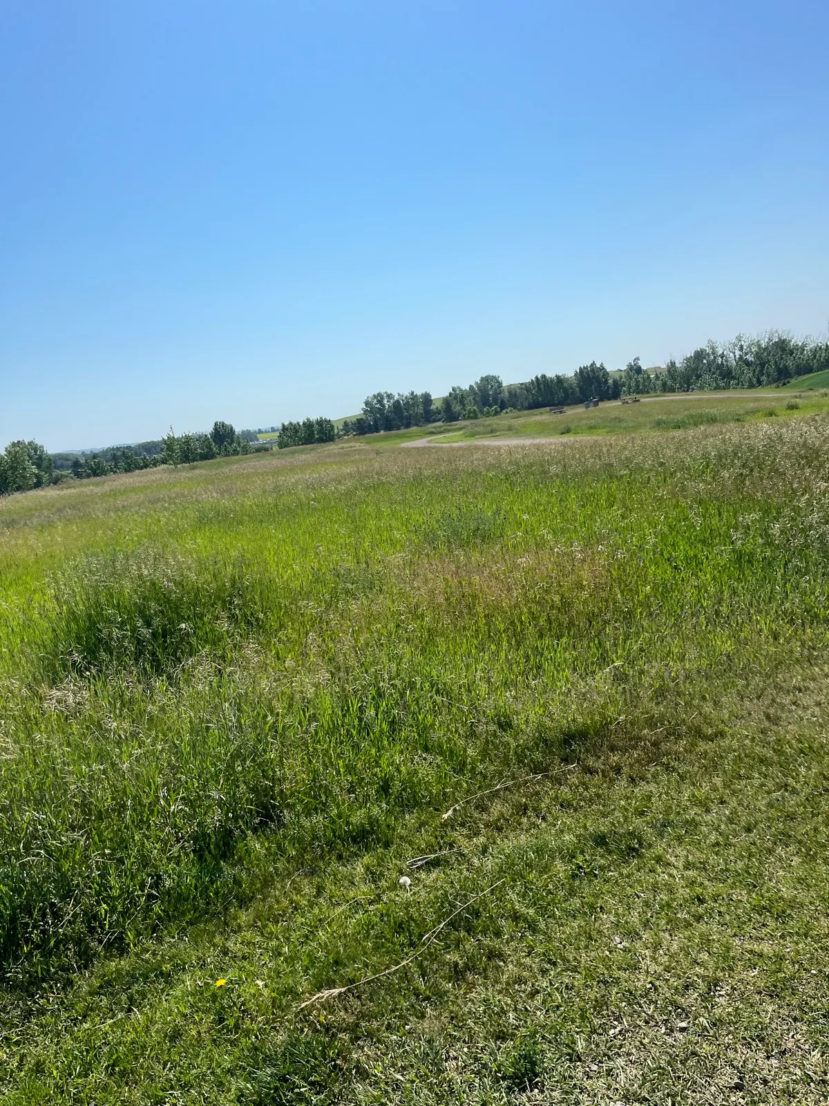 Red Deer, Alberta