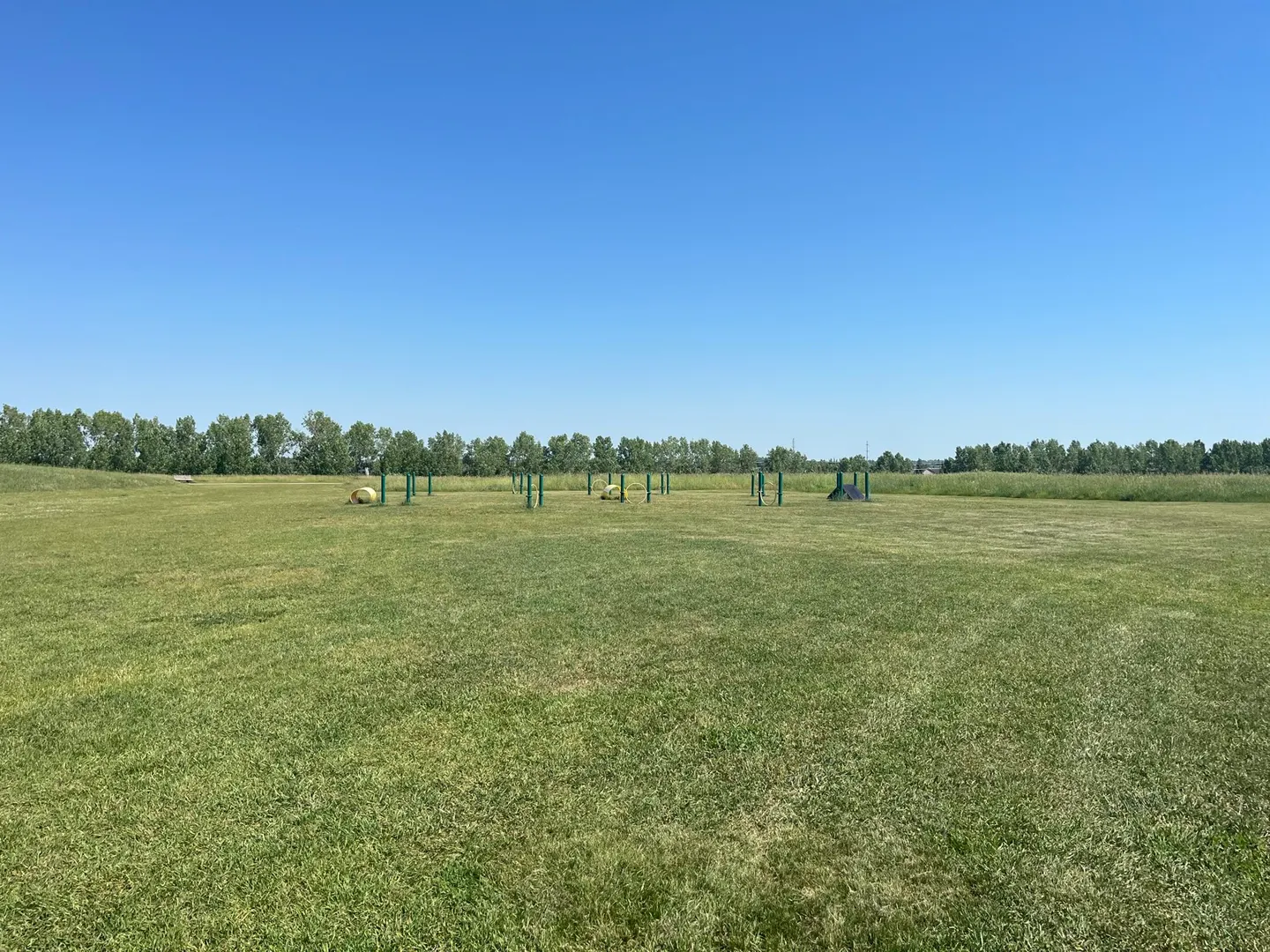 Dog exercise equipment at Oxbows Off Leash Dog Park