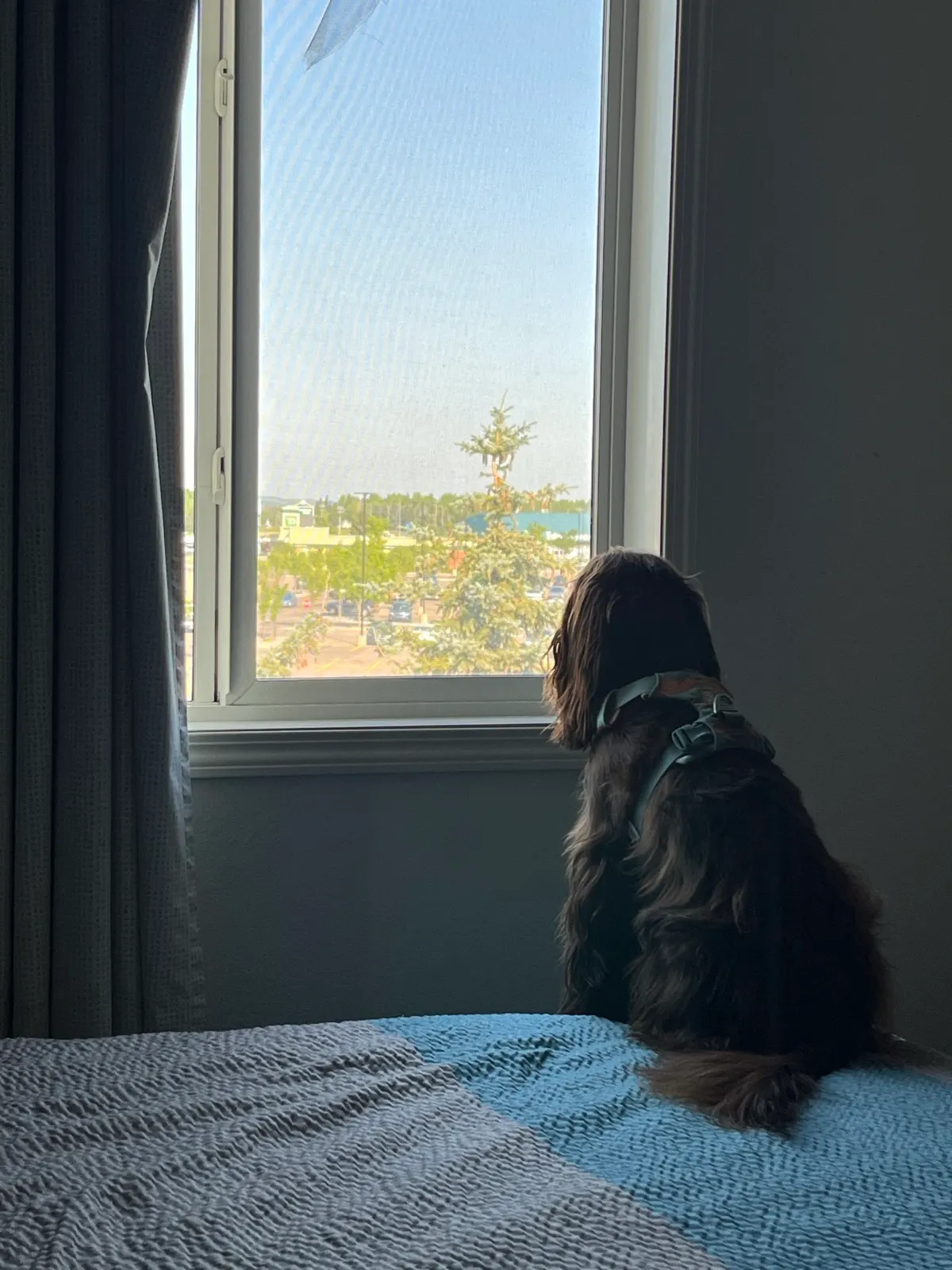Motel 6 Red Deer