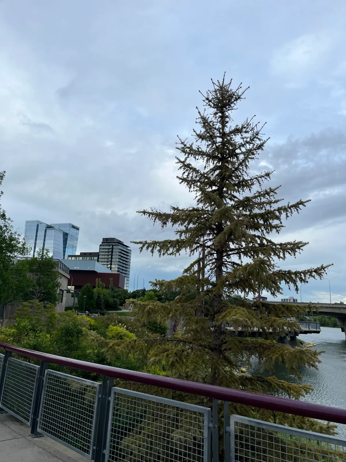 Saskatoon, Saskatchewan