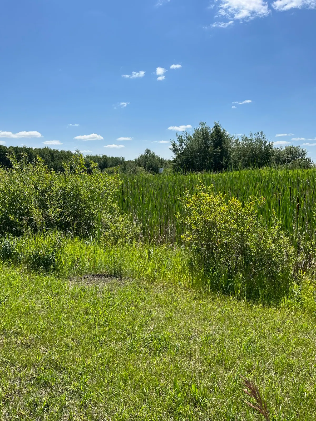 Yorkton, Saskatchewan