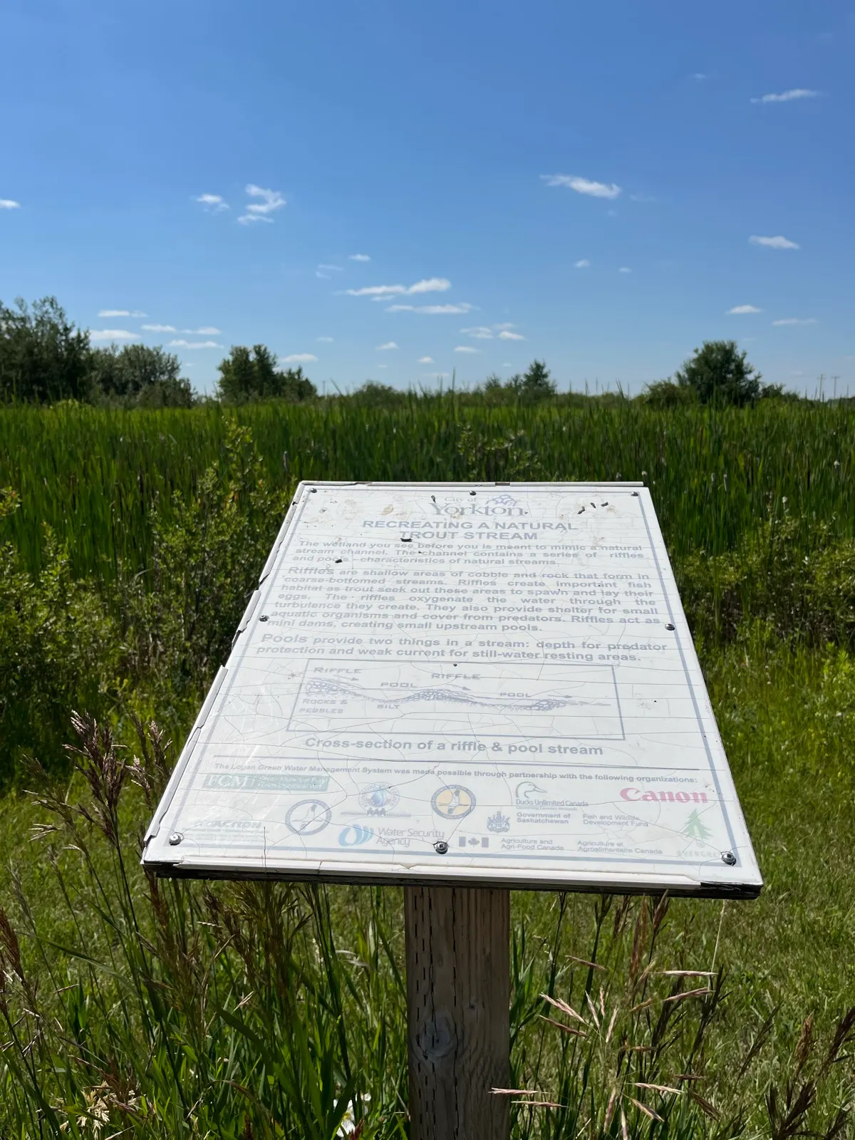 Natural trout stream sign at Logan Green Park