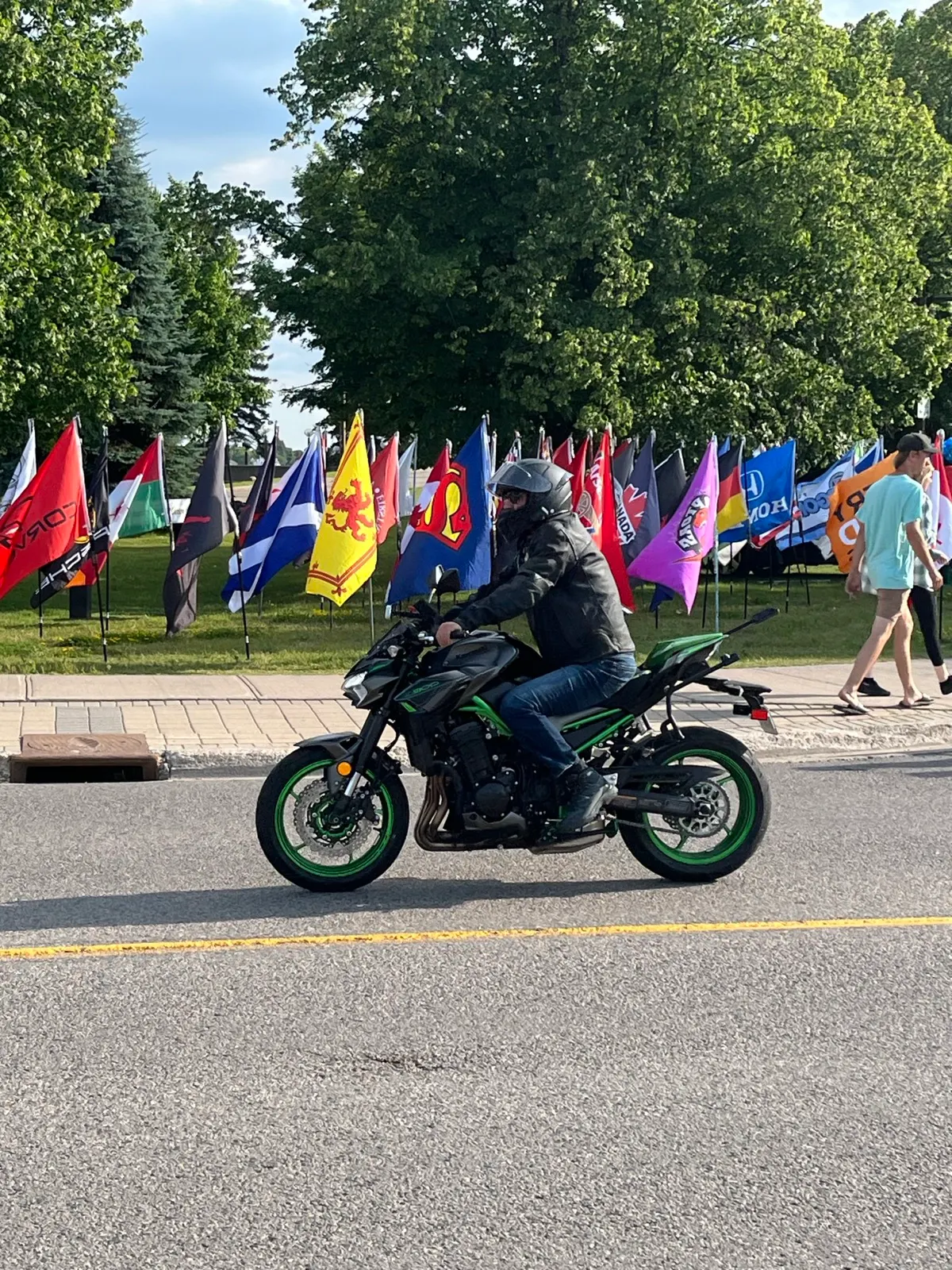 Festival flags in the park across from the Sleep Inn in Sault Ste. Marie