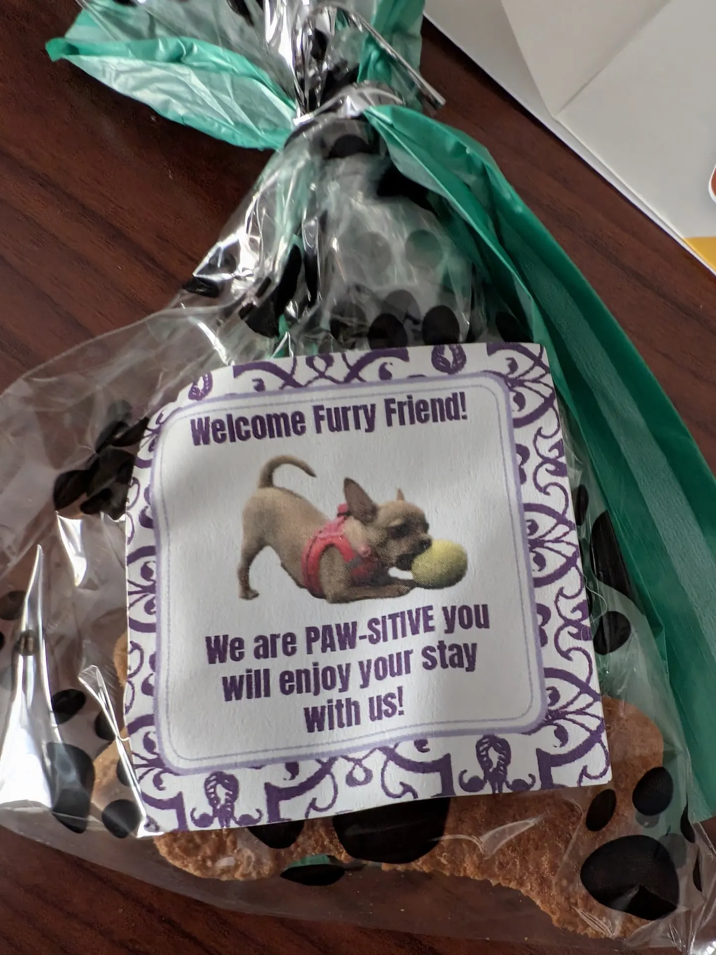 The pet goody bag from Comfort Inn Gananoque