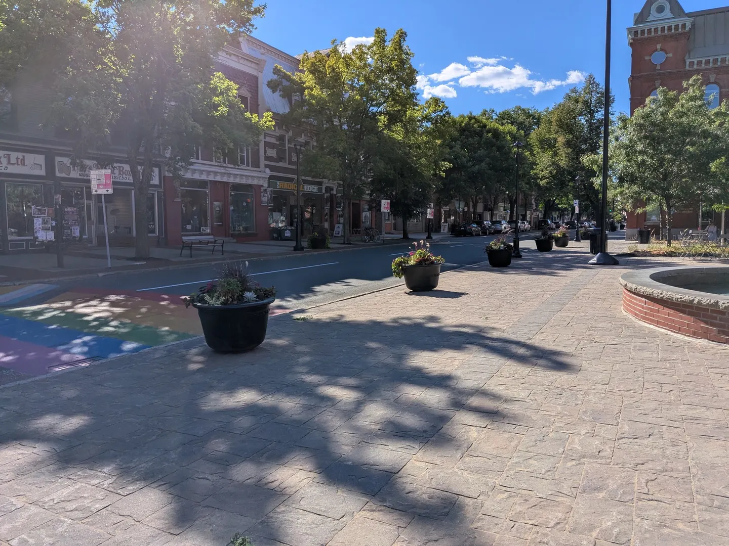 A sunny downtown Fredericton street lined with planters and brick buildings