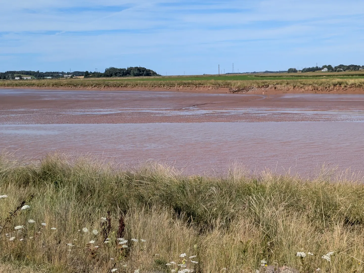 Wide tidal mudflats along the Salmon River at the Fundy Discovery Site