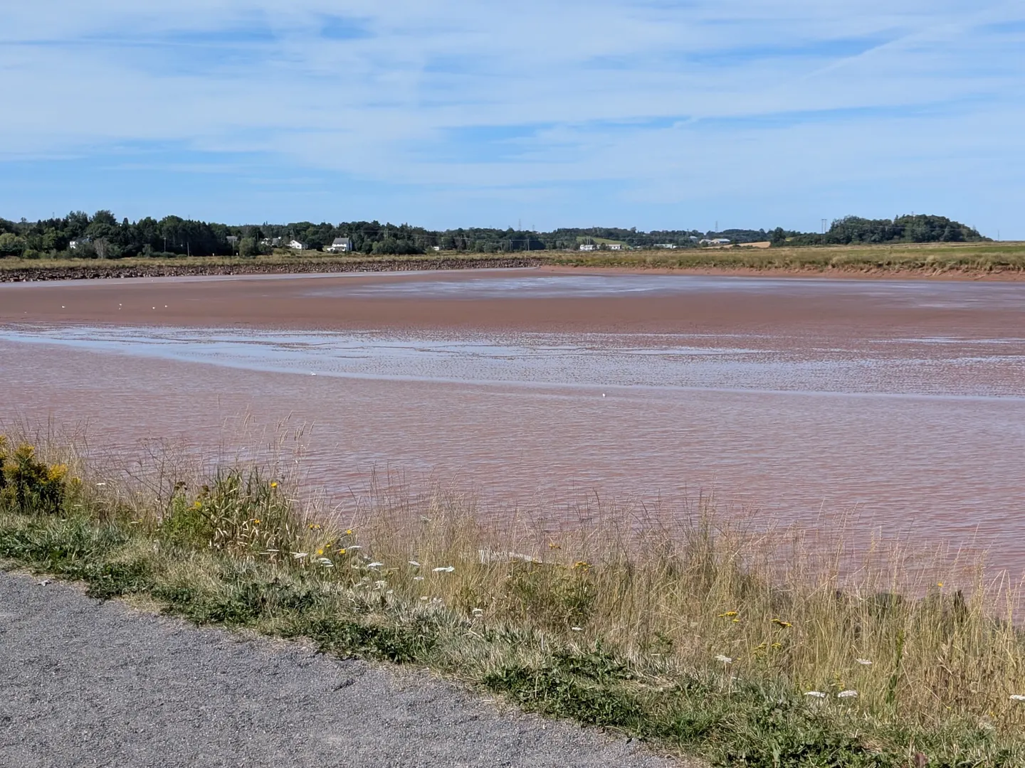 The tide coming in over the red tidal flats at the Fundy Discovery Site