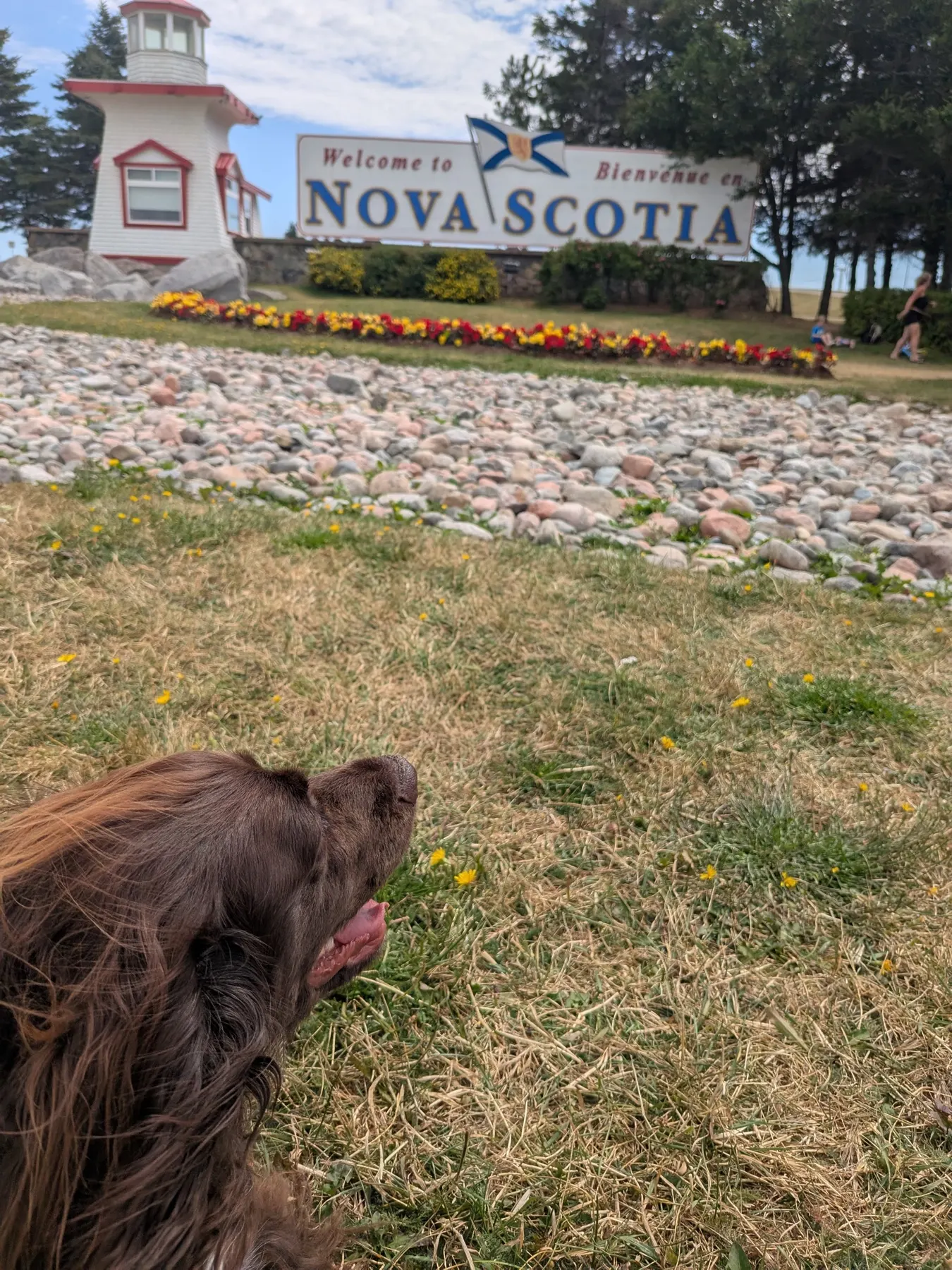 Tilly looking toward the Welcome to Nova Scotia sign and lighthouse