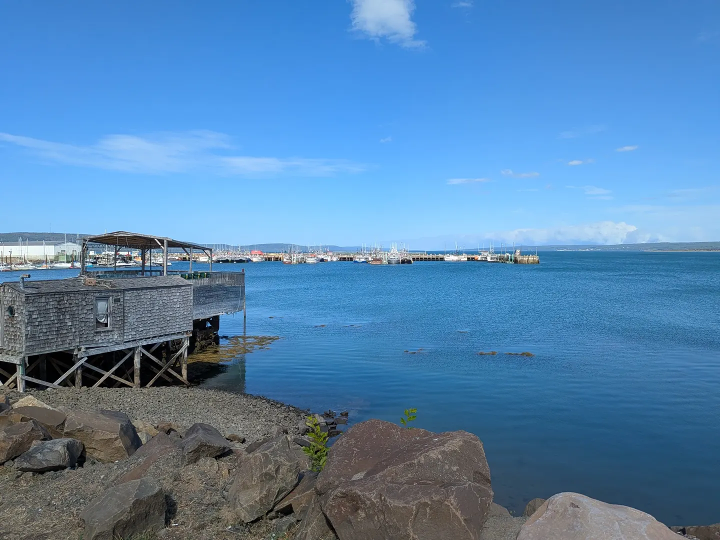 Des bateaux de pêche dans le port de Digby par une journée claire