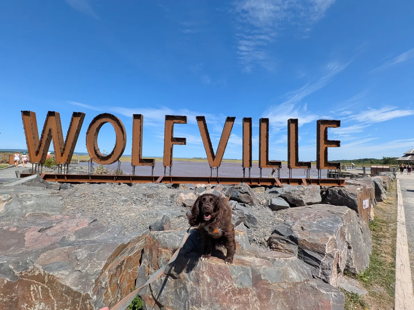 Tilly sitting below the WOLFVILLE sign at the waterfront park