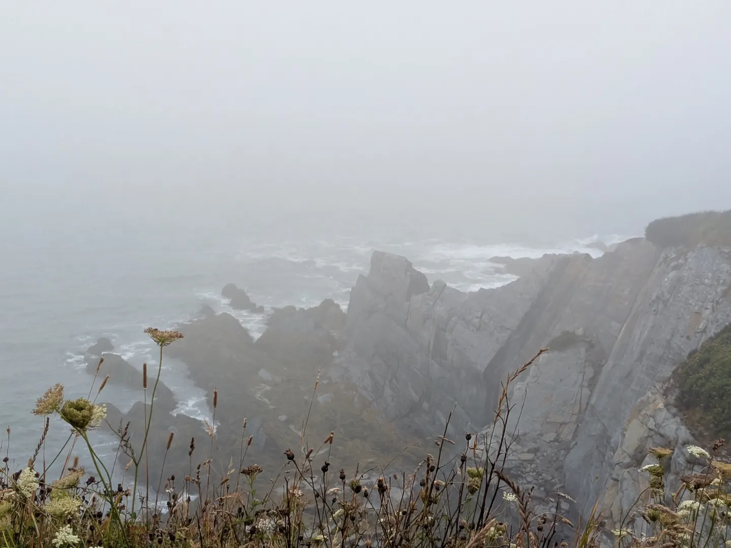 Cape Saint Marys, Nova Scotia
