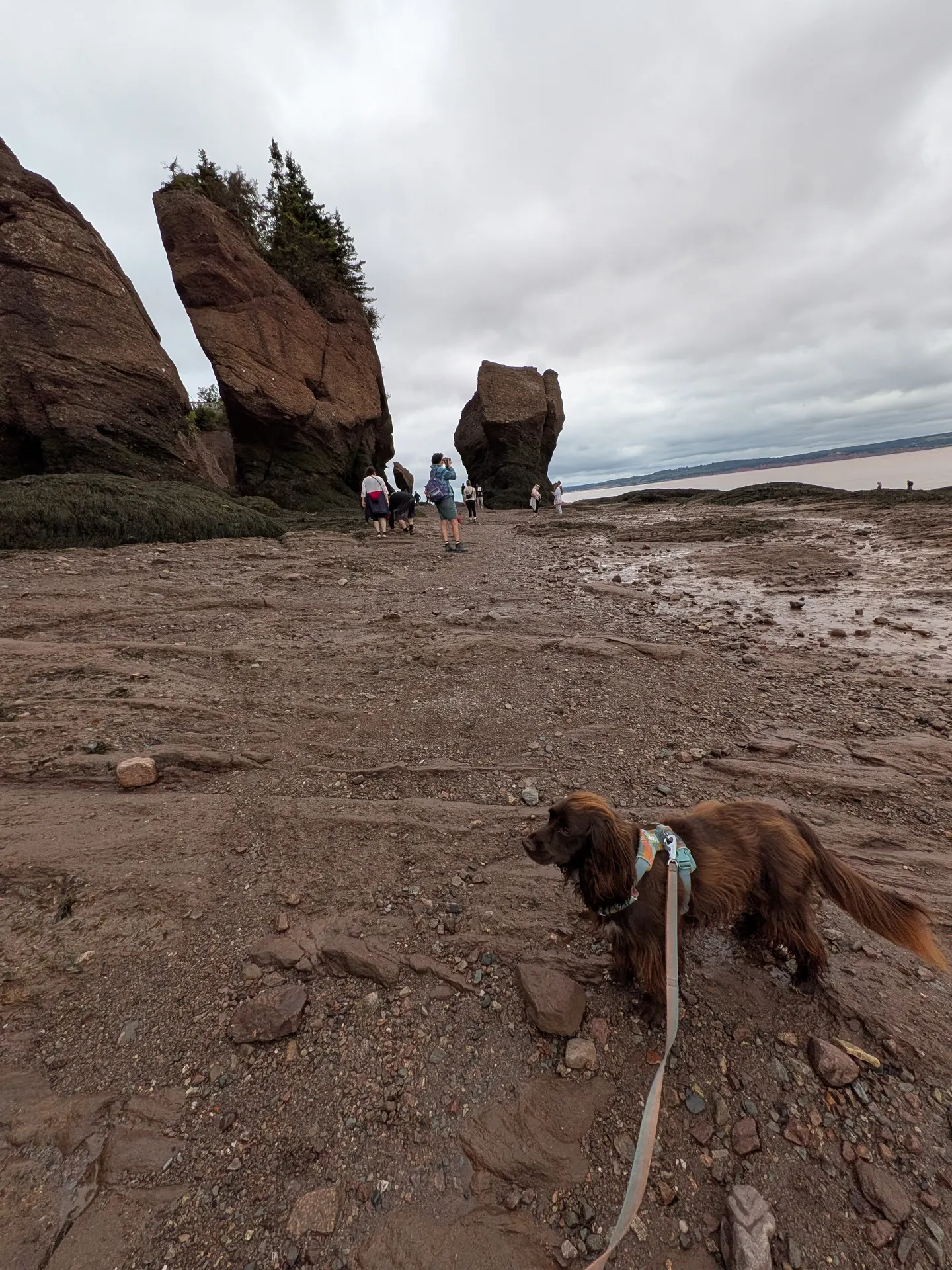 A flowerpot rock with a sea arch on the ocean floor at Hopewell Rocks