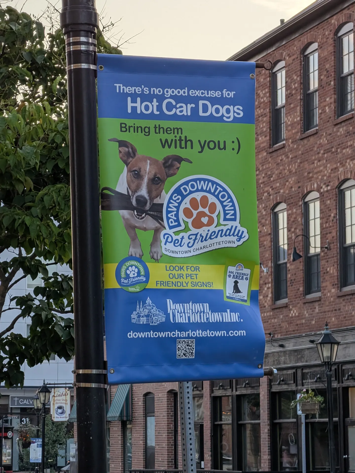 Paws Downtown pet-friendly banner in Charlottetown