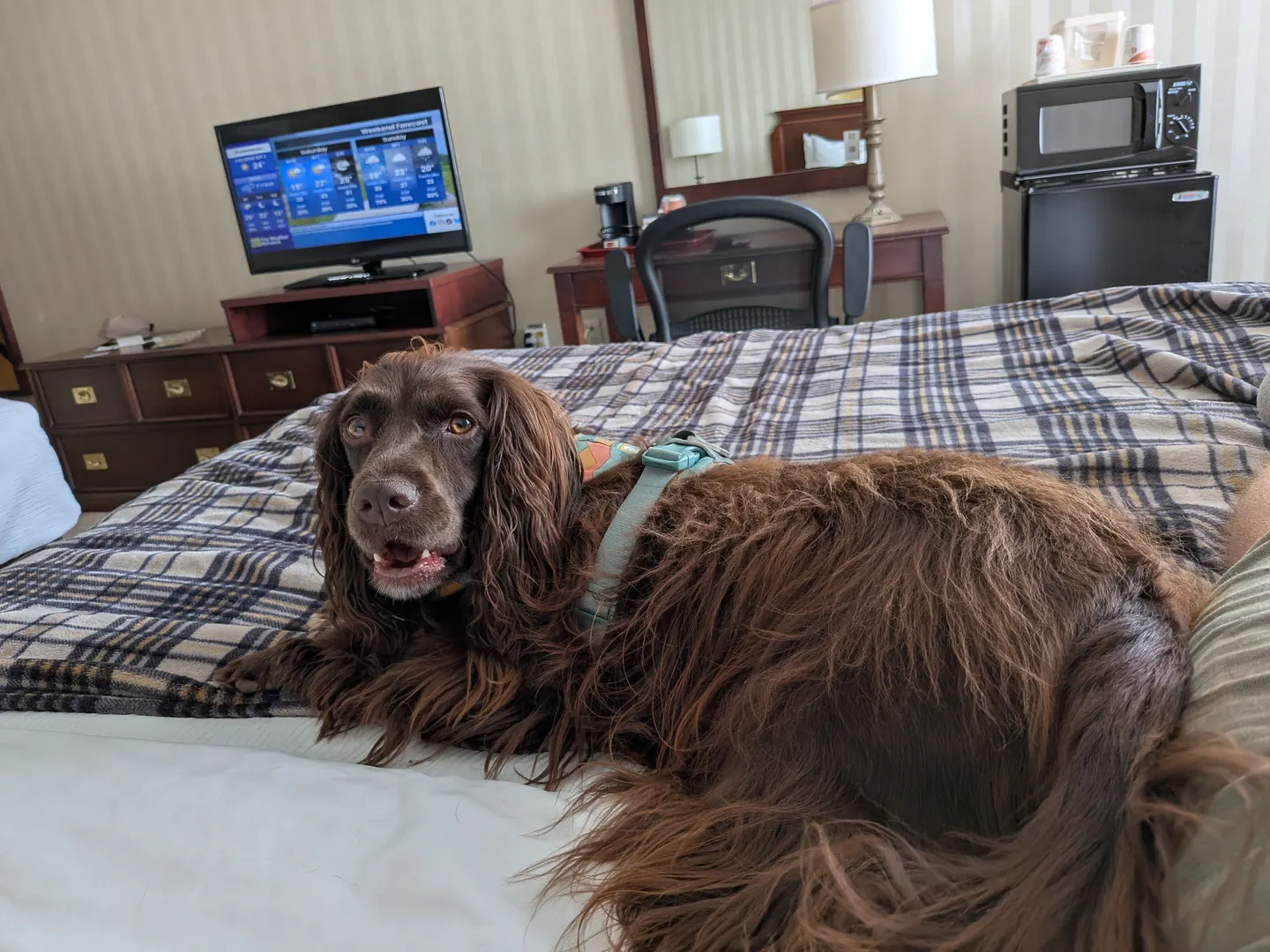 Quality Inn & Suites Downtown