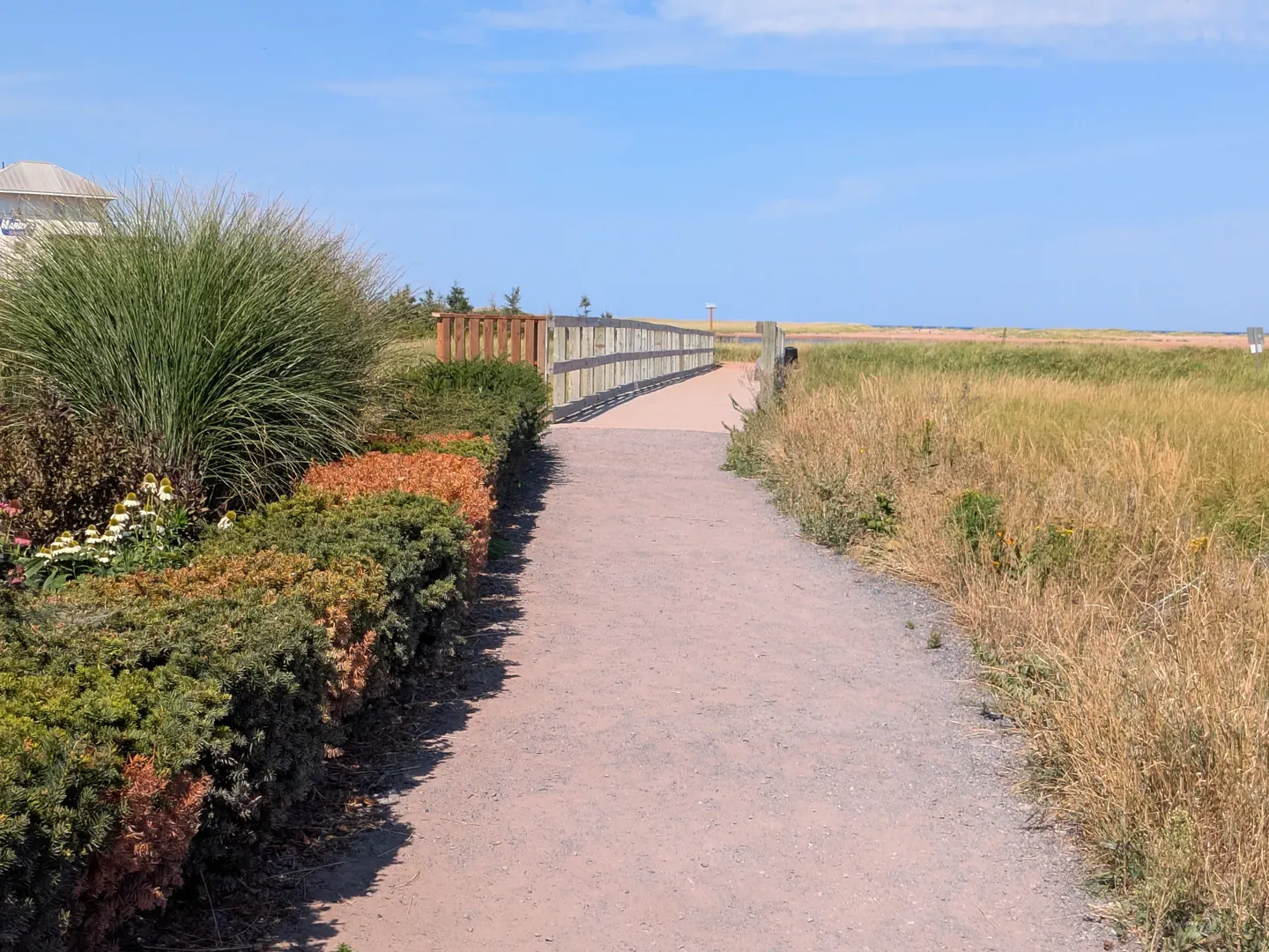 Trail leading through the dunes at Tracadie Beach